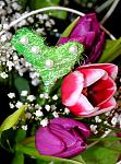     
: DSC_0067.jpg
: 4
:	107.9 
ID:	5867123