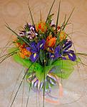     
: DSC_0002.jpg
: 3
:	113.0 
ID:	5867230