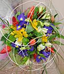     
: DSC_0016.jpg
: 9
:	124.6 
ID:	5867498
