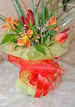     
: DSC_0053.jpg
: 11
:	92.9 
ID:	5867529