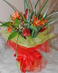     
: DSC_0059.jpg
: 12
:	107.1 
ID:	5867533