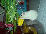     
: DSC04726.jpg
: 7
:	129.7 
ID:	5868881