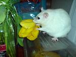     
: DSC04727.jpg
: 13
:	111.7 
ID:	5868883