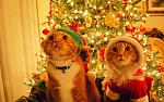     
: TFGgTGgiIVI.jpg
: 5
:	211.8 
ID:	5871937