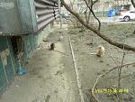     
: SAM_3125.jpg
: 11
:	226.5 
ID:	5872025