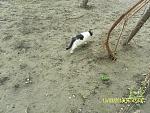     
: SAM_3122.jpg
: 13
:	230.8 
ID:	5872026
