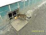     
: SAM_3123.jpg
: 12
:	222.5 
ID:	5872027