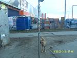     
: SAM_3127.jpg
: 33
:	155.8 
ID:	5872076