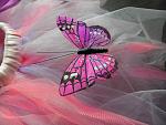     
: P2220438.jpg
: 4
:	170.3 
ID:	5872205