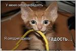     
: images (1).jpg
: 11
:	10.3 
ID:	5873225