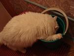     
: DSC00005.jpg
: 28
:	100.1 
ID:	587323