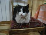     
: Патрик.jpg
: 2
:	85.4 
ID:	5874272