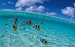     
: 091705200907233.jpg
: 8
:	114.3 
ID:	5875582
