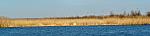    
: DSC_0873.jpg
: 14
:	64.7 
ID:	5877030