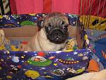     
: IMG_2528.jpg
: 10
:	158.9 
ID:	5879365