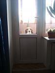     
: CameraZOOM-20130309110722651.jpg
: 8
:	48.2 
ID:	5880093
