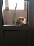     
: CameraZOOM-20130309110745185.jpg
: 8
:	21.3 
ID:	5880094