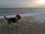     
: CameraZOOM-20130110154412234.jpg
: 8
:	192.2 
ID:	5880170