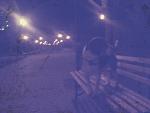     
: CameraZOOM-20121229194417164.jpg
: 7
:	82.2 
ID:	5880171