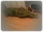     
: CameraZOOM-20121229181756875.jpg
: 6
:	69.7 
ID:	5880174
