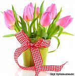     
: s47208247.jpg
: 6
:	15.2 
ID:	5880707