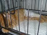     
: P1150140.jpg
: 76
:	116.6 
ID:	5881546