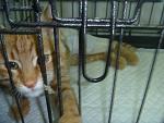     
: P1150139.jpg
: 89
:	113.5 
ID:	5881547