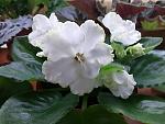     
: 20130315_075018.jpg
: 5
:	182.7 
ID:	5883199