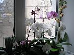     
: P3150021.jpg
: 10
:	143.6 
ID:	5883597