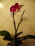     
: GEDC2181.jpg
: 42
:	62.4 
ID:	5886300
