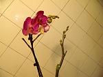     
: GEDC2185.jpg
: 24
:	92.0 
ID:	5886302