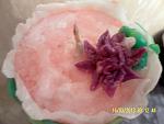     
: SAM_2489.jpg
: 8
:	93.1 
ID:	5888907
