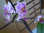     
: P1010532.jpg
: 6
:	79.8 
ID:	5889429
