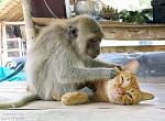     
: x_872ee7f3.jpg
: 11
:	84.4 
ID:	5890107