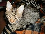     
: P6100010.jpg
: 2
:	199.4 
ID:	5890124