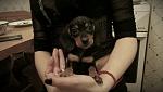     
: IMAG0861_1.jpg
: 9
:	132.5 
ID:	5890592