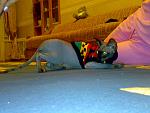     
: 06112009570.jpg
: 43
:	112.4 
ID:	589333