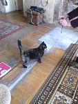     
: IMG_20130316_145626.jpg
: 9
:	108.4 
ID:	5894805