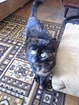     
: IMG_20130316_145558.jpg
: 12
:	115.9 
ID:	5894806