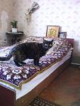     
: IMG_20130316_145530.jpg
: 12
:	103.3 
ID:	5894808