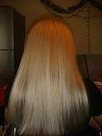     
: DSC06489.jpg
: 7
:	74.1 
ID:	5897576