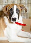     
: DSC_5628.jpg
: 15
:	57.7 
ID:	5900002