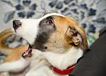     
: DSC_5612.jpg
: 15
:	134.5 
ID:	5900004