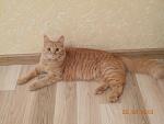     
: симона1.jpg
: 8
:	169.7 
ID:	5903965