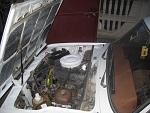     
: IMG_4924.jpg
: 11
:	145.8 
ID:	5905286