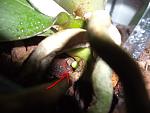     
: GEDC2203.jpg
: 7
:	92.4 
ID:	5906149