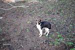     
: DSC_0084.jpg
: 21
:	239.8 
ID:	5908738