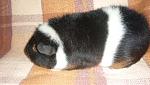     
: P1100896_1.jpg
: 27
:	143.6 
ID:	5921285