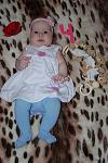     
: DSC_2887.jpg
: 14
:	83.6 
ID:	5921720