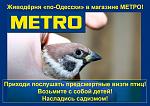     
: 883092_448399715239209_595330268_o.jpg
: 76
:	123.1 
ID:	5927697